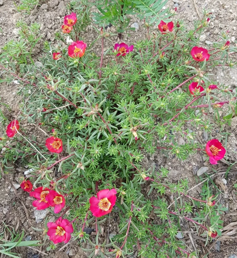 SE-7bb28c5c-b9e1-4e64-83c0-ae3b7e6ca9f5.jpg?type=w773