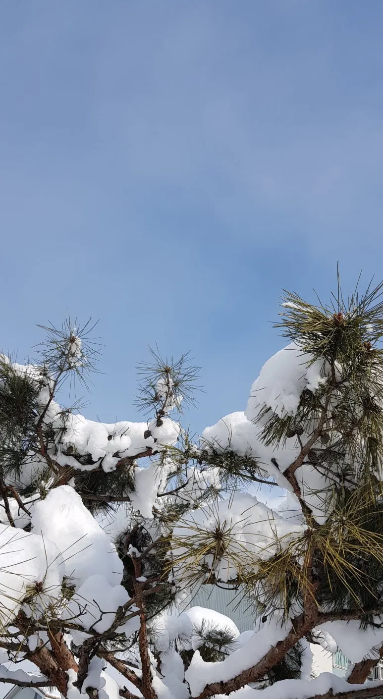 SE-16a3c0c2-a4d9-47de-935c-d93a30e51f94.jpg?type=w773