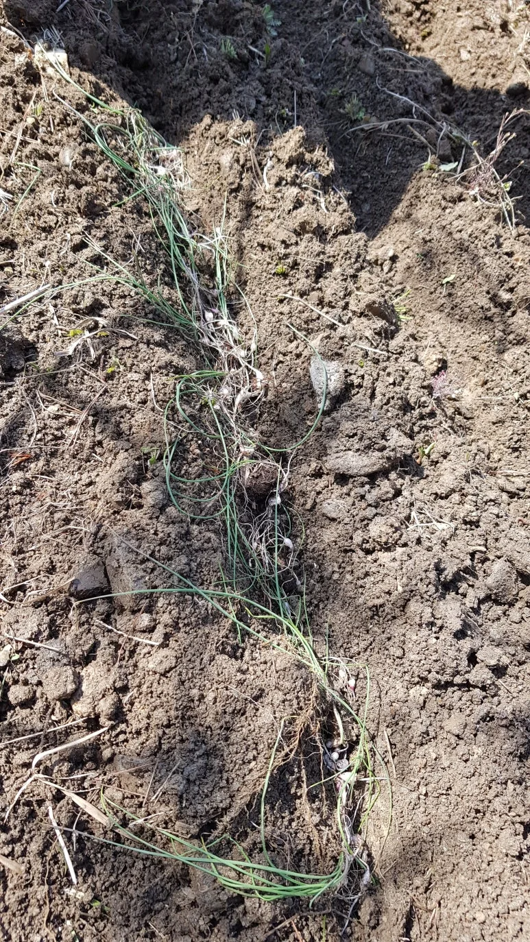 KakaoTalk_20250425_102923632.jpg?type=w773