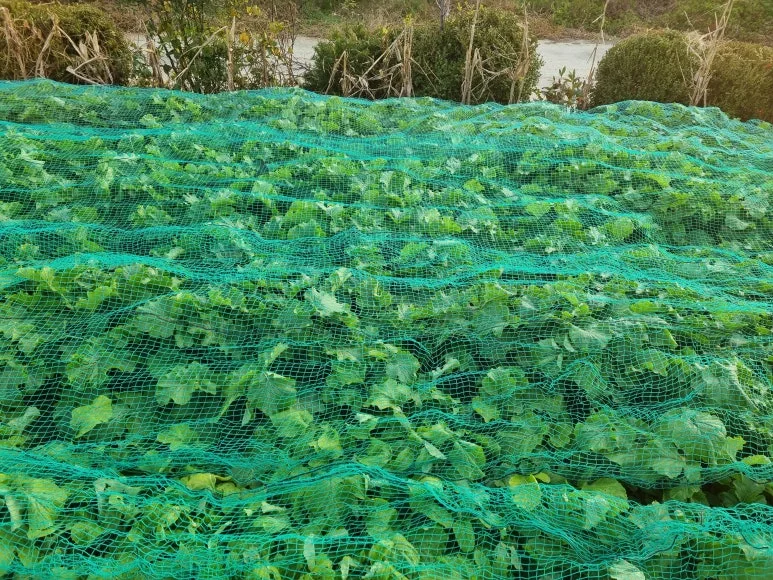 KakaoTalk_20251106_085138410.jpg?type=w773