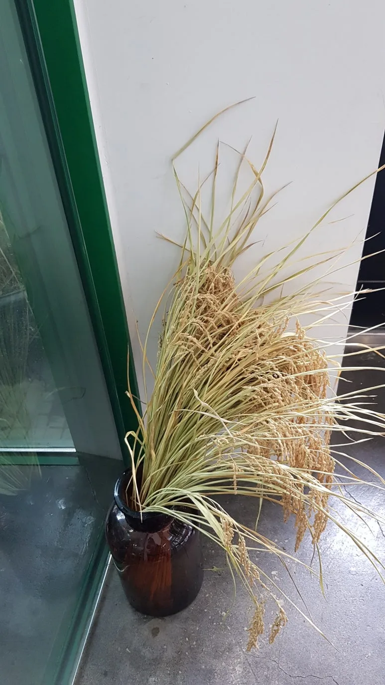 KakaoTalk_20250105_140045365.jpg?type=w773