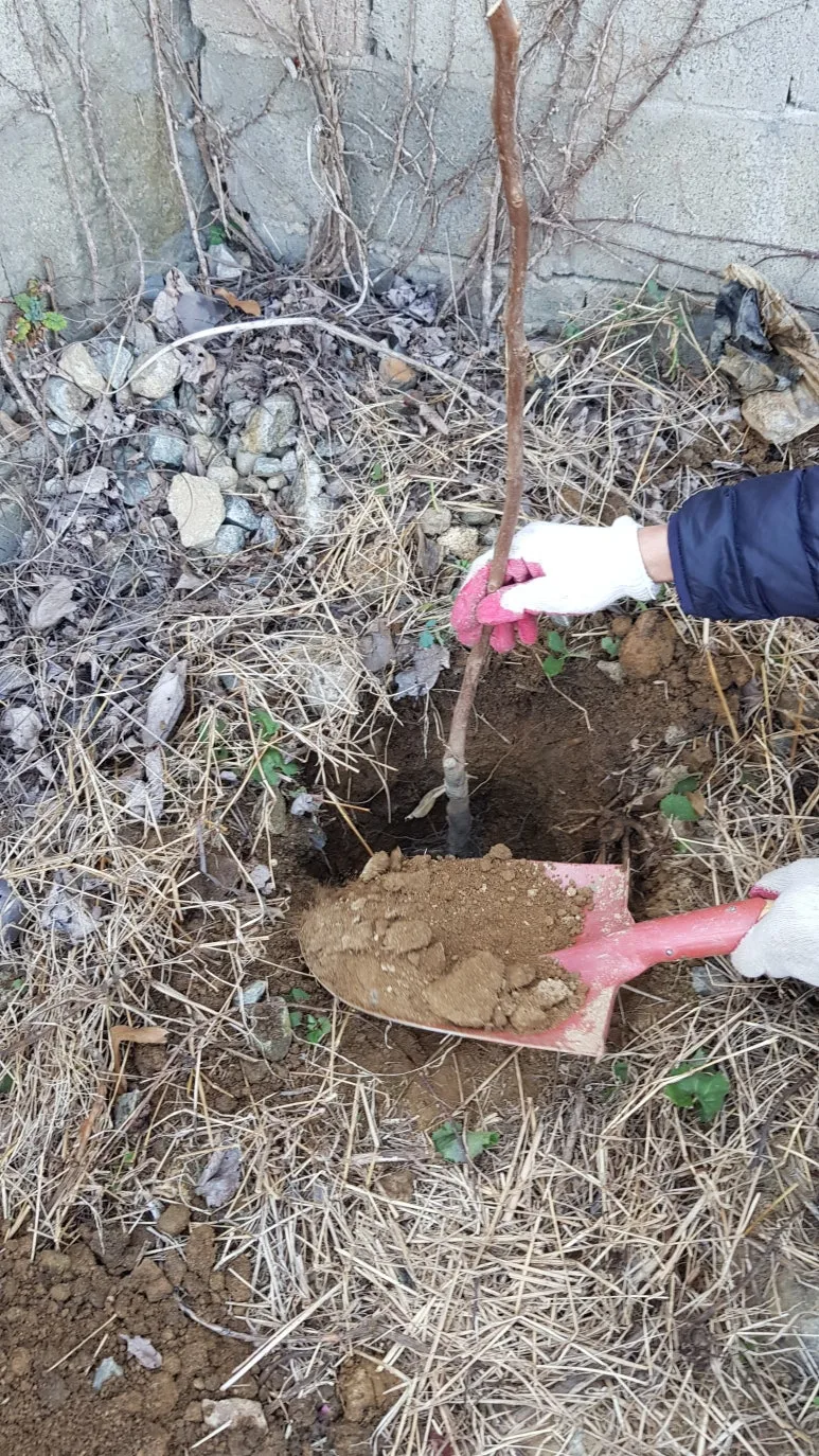 KakaoTalk_20250328_185730886.jpg?type=w773