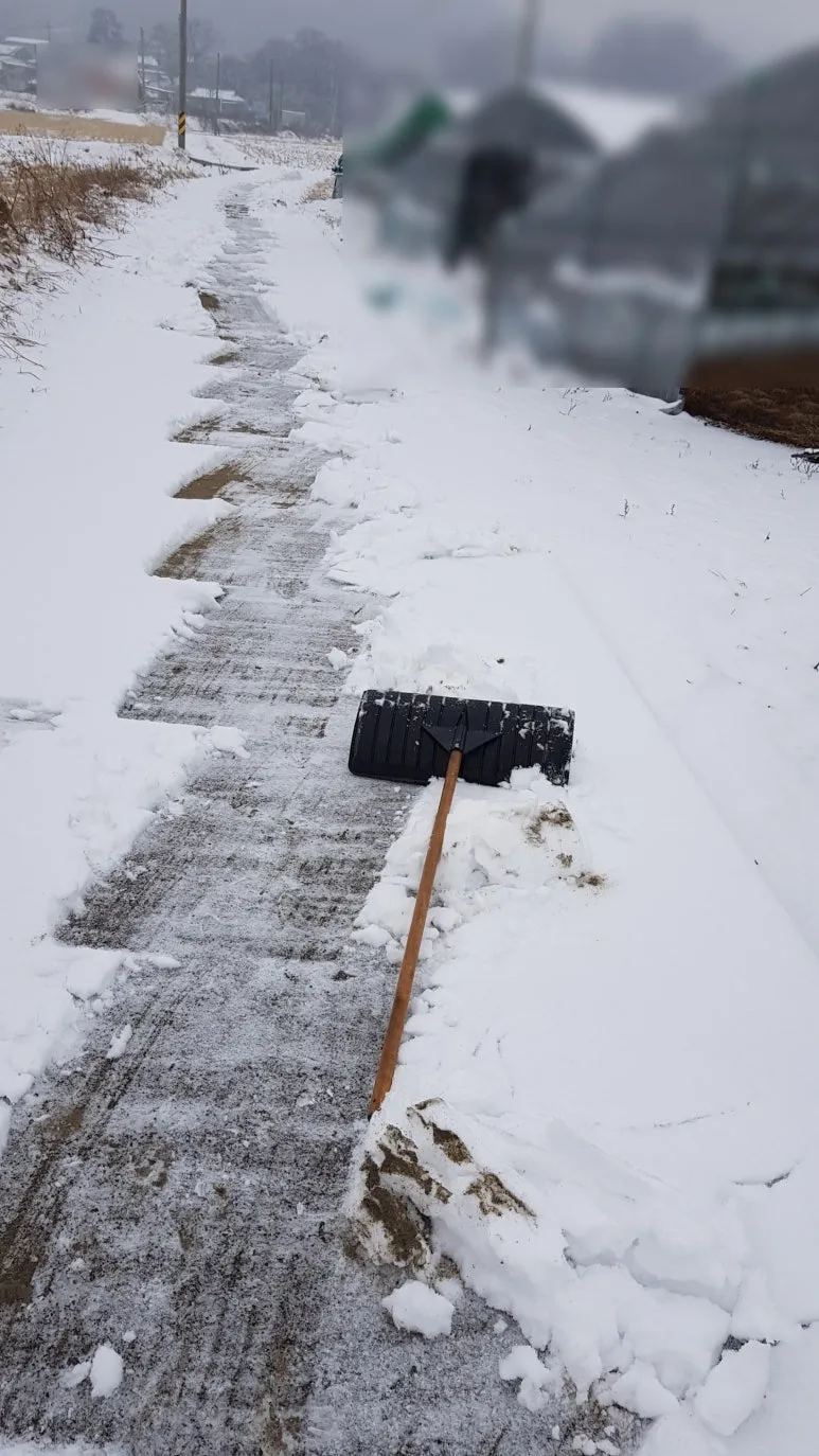 SE-ee5ec157-854f-4307-b824-7989f550cf37.jpg?type=w773