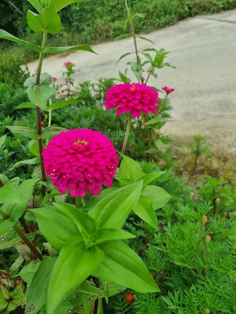 KakaoTalk_20250930_110234112.jpg?type=w773