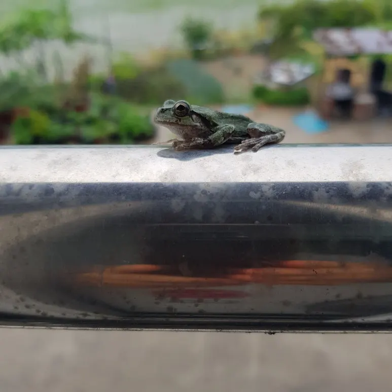 KakaoTalk_20250614_073912201.jpg?type=w773