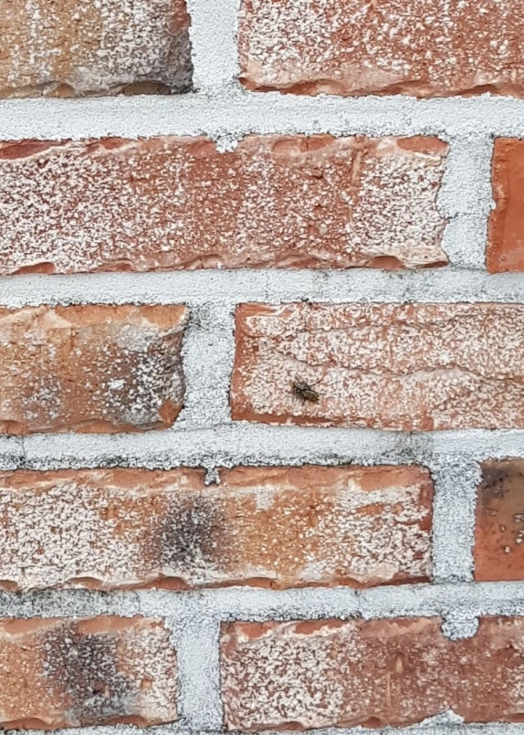 SE-6ca732b5-70f0-484d-aefb-3613462f1985.jpg?type=w773