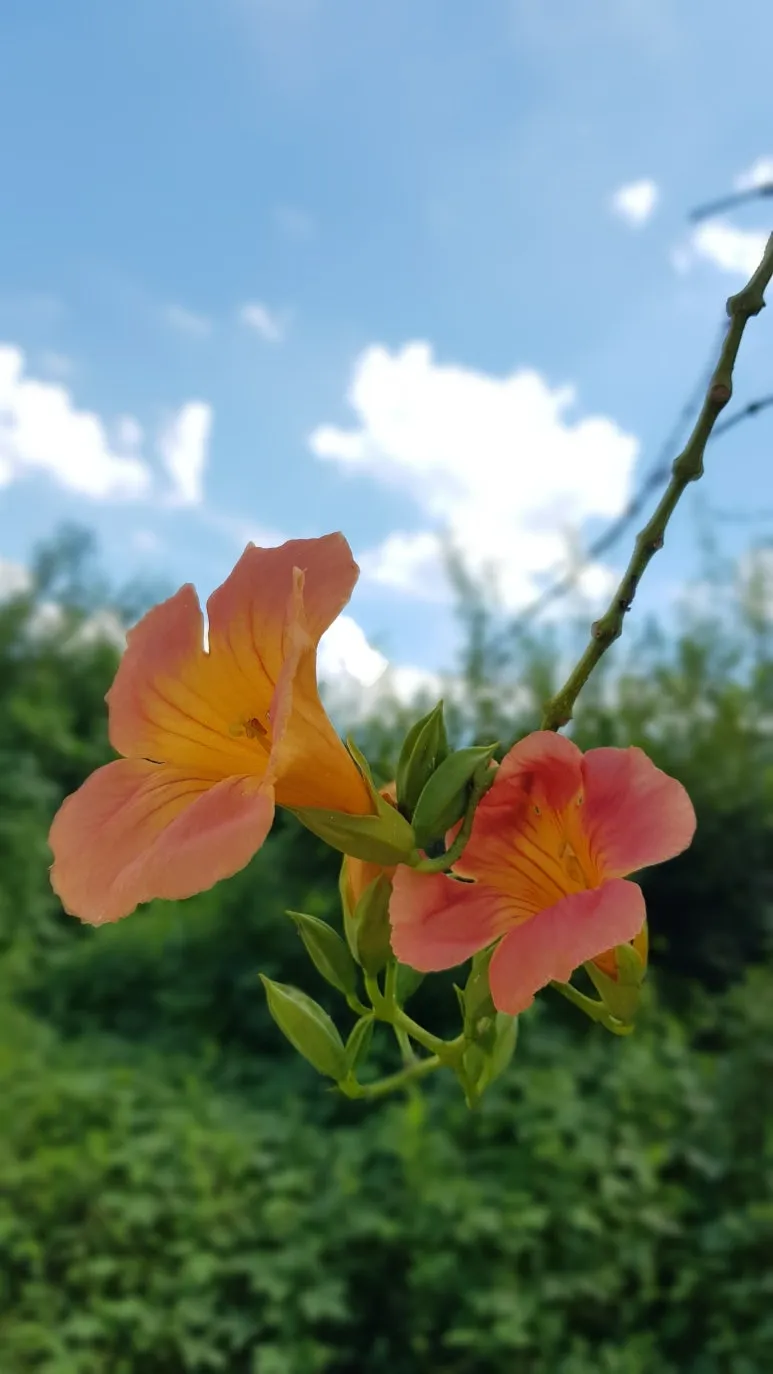 KakaoTalk_20250830_141954484.jpg?type=w773