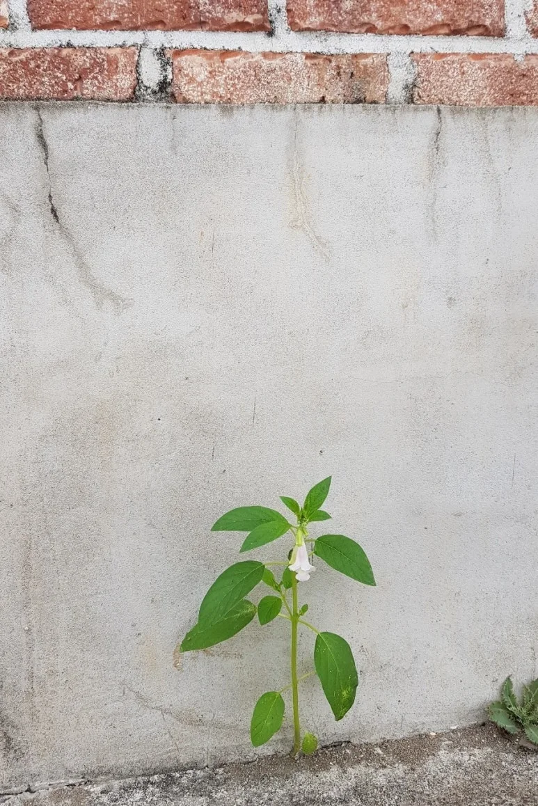 KakaoTalk_20241217_221652874.jpg?type=w773