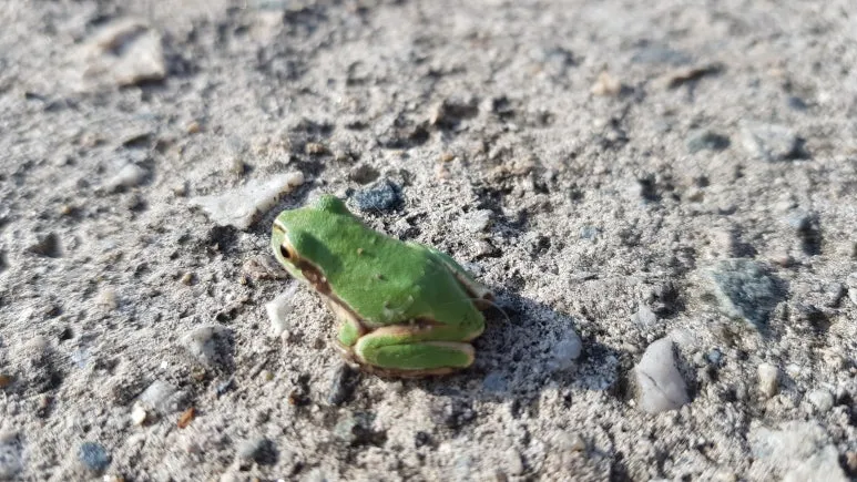 KakaoTalk_20251122_063815441.jpg?type=w773