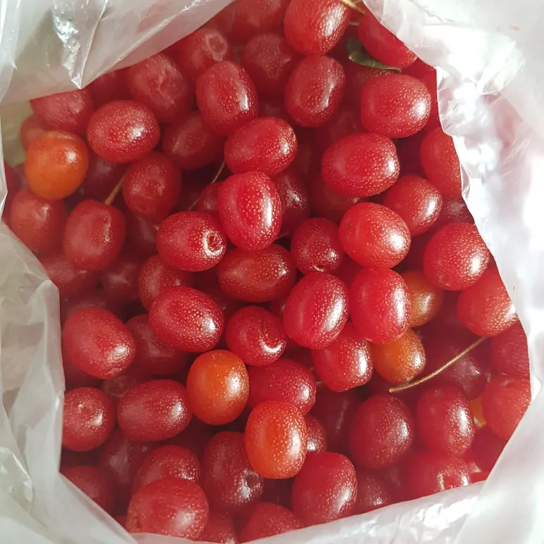 KakaoTalk_20250606_102930751.jpg?type=w773