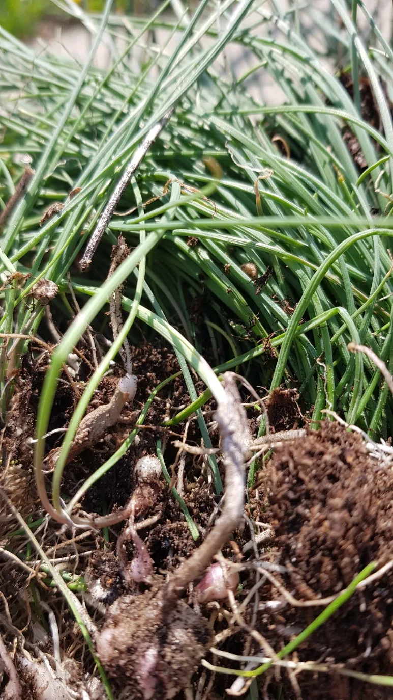 KakaoTalk_20250425_102827006.jpg?type=w773