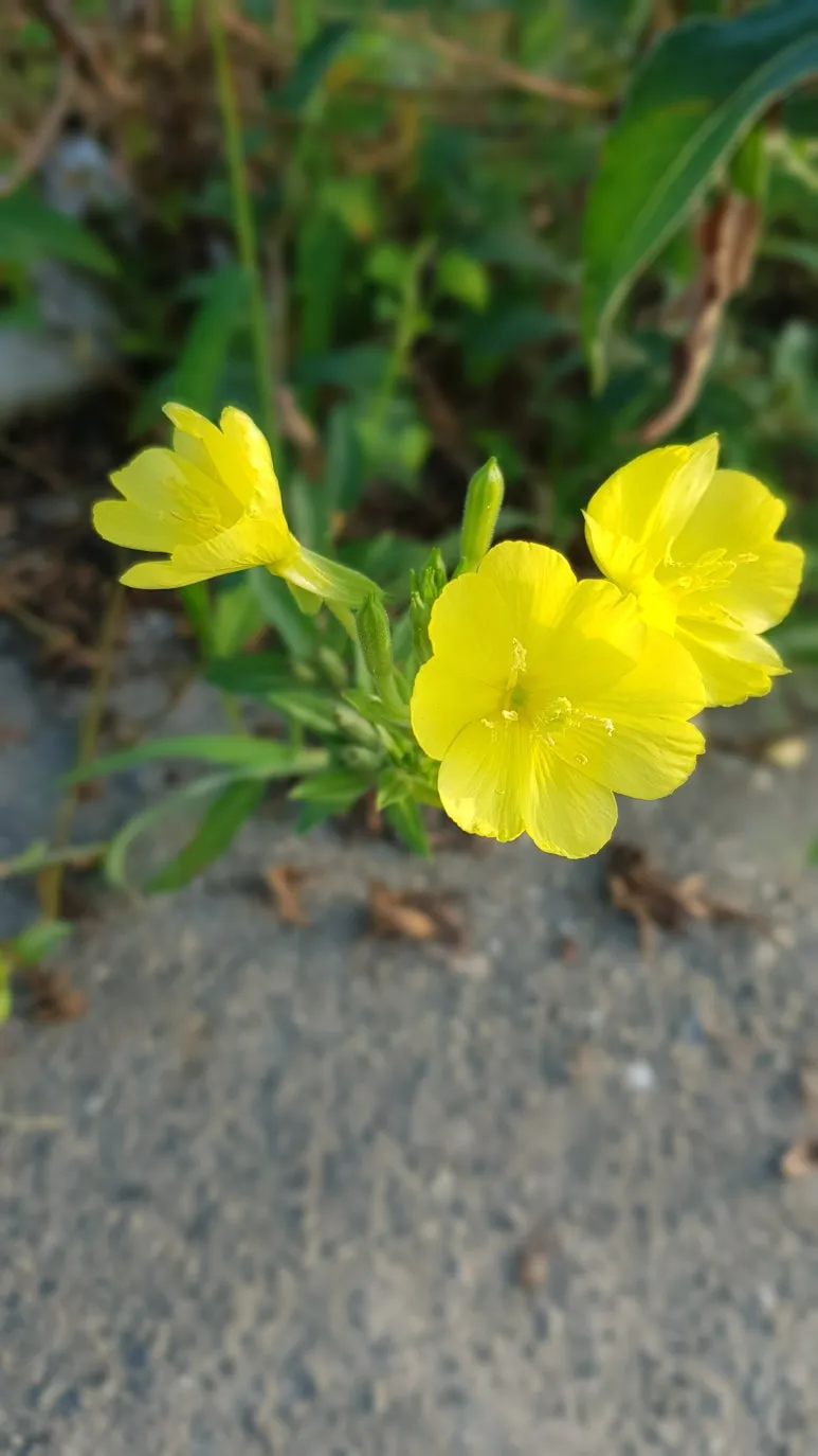 KakaoTalk_20250829_141453242.jpg?type=w773