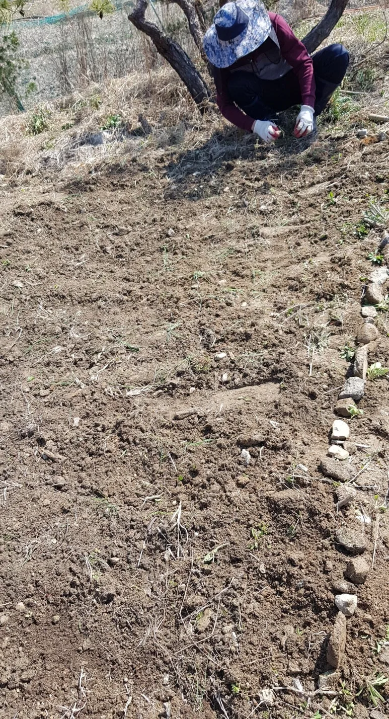 SE-366fa9b4-3d98-4506-ae0b-44329f03f41c.jpg?type=w773