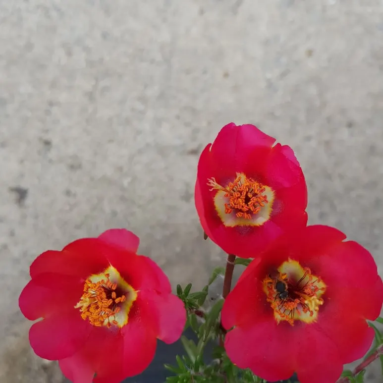 KakaoTalk_20250701_141810965.jpg?type=w773