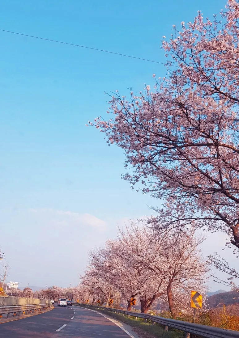 SE-40fdead5-d1fb-4956-befa-591f1e728568.jpg?type=w773