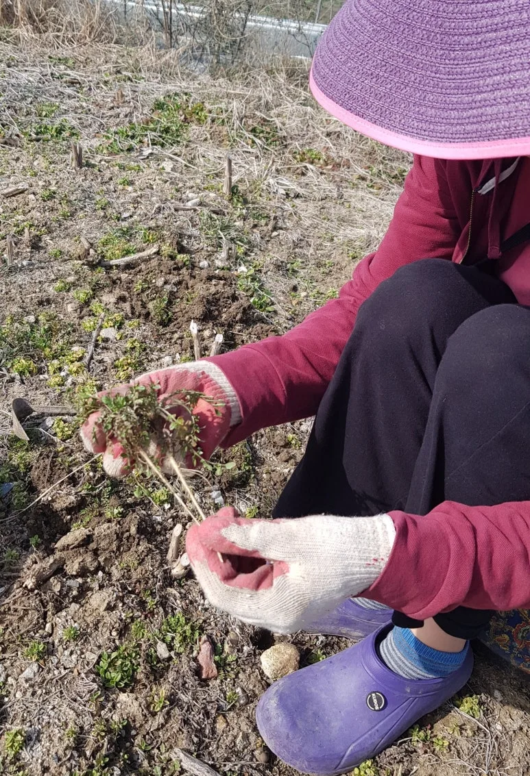 SE-b9f7b4eb-48d5-43da-a4b2-f451c34e3fb8.jpg?type=w773