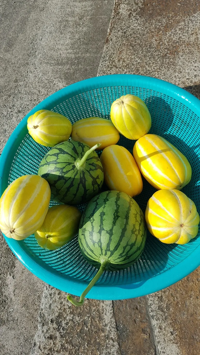 KakaoTalk_20250731_092151084.jpg?type=w773