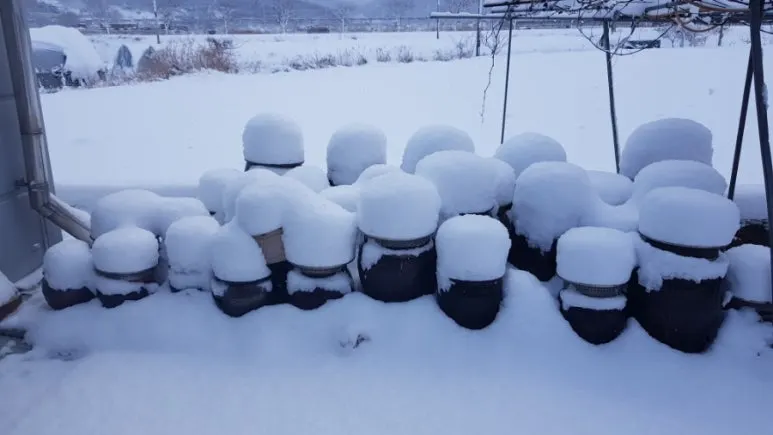 900%EF%BC%BF20250128%EF%BC%BF093727.jpg?type=w773