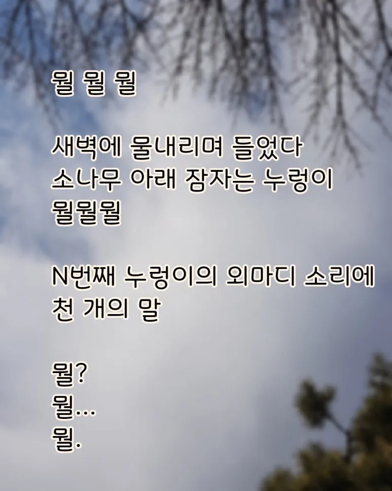 KakaoTalk_20250308_111214911.jpg?type=w773