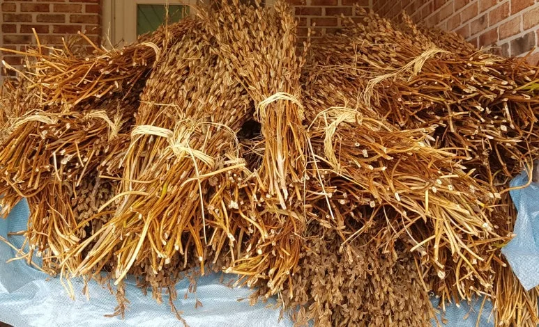 SE-14b3492e-3e42-4385-98a1-4716bcdf6bf8.jpg?type=w773