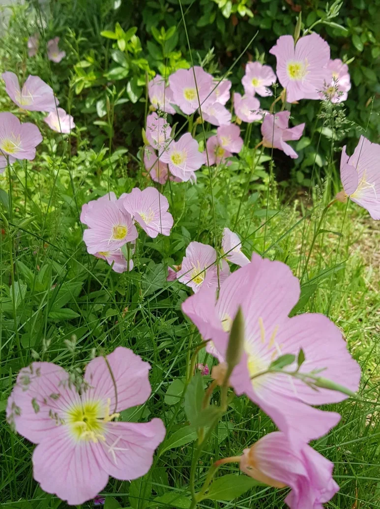 SE-748c1cf8-d3c4-4c58-ae93-707bd4341718.jpg?type=w773