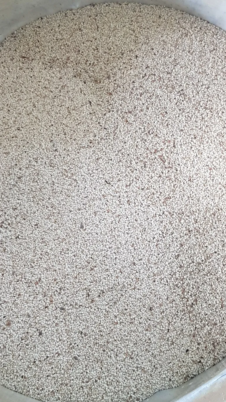 KakaoTalk_20250904_083329890.jpg?type=w773