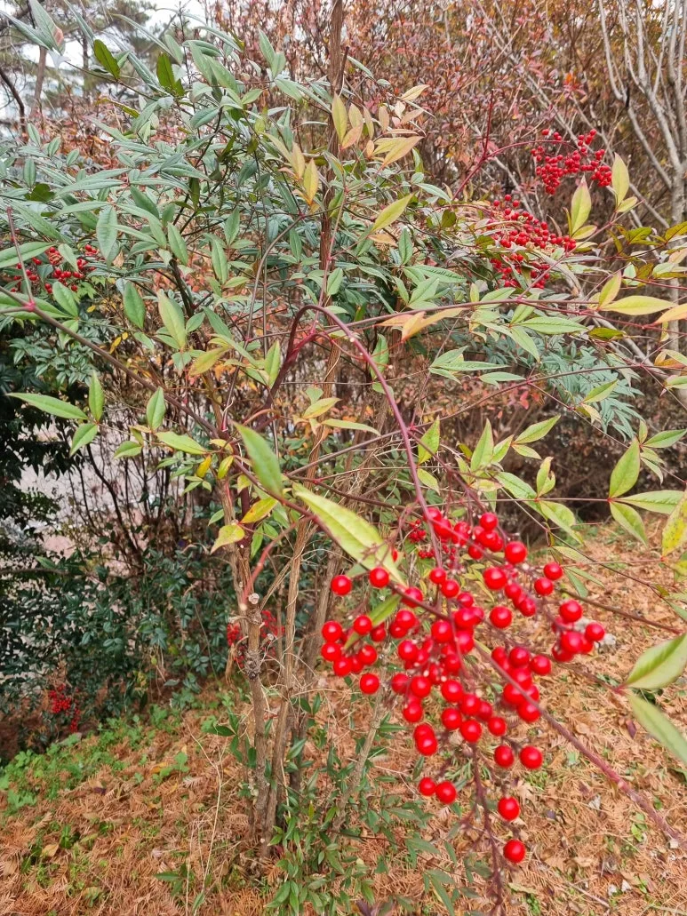 KakaoTalk_20251226_074438082.jpg?type=w773