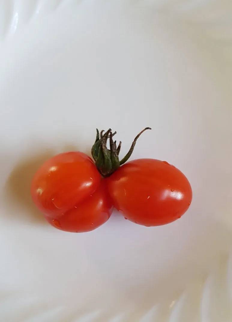 SE-e575c370-4686-4330-83ef-f7cab22326ef.jpg?type=w773