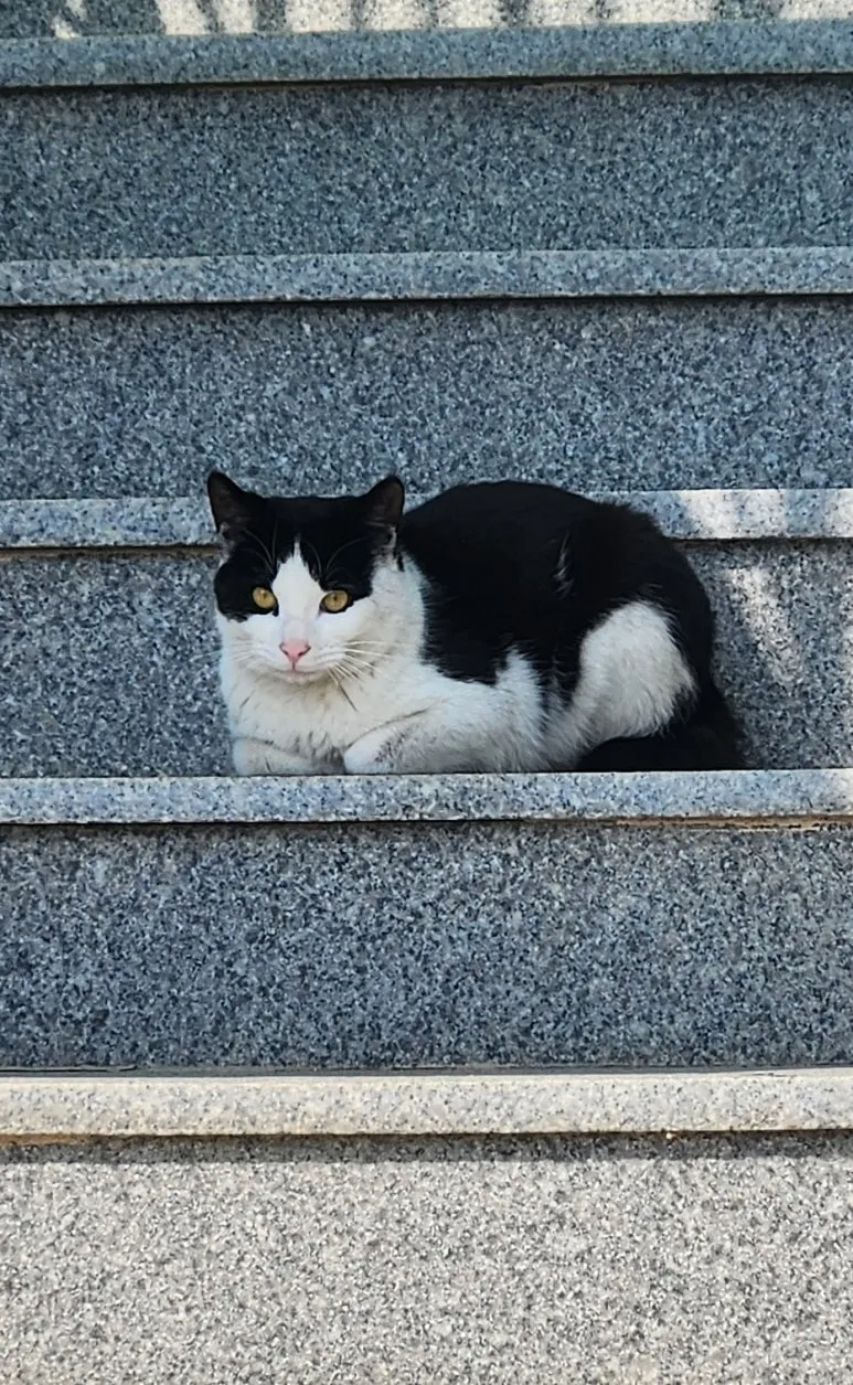 SE-c2644447-1bd6-4060-a410-5fa4855945d0.jpg?type=w773