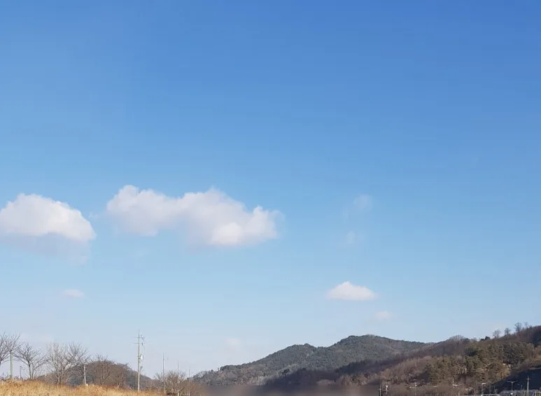 SE-3b10fdfe-db60-421c-bc83-a56a576e2e49.jpg?type=w773