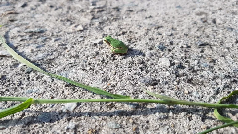 KakaoTalk_20251122_063753815.jpg?type=w773