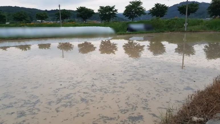 SE-ee7fee9b-f13f-4b2a-9c37-897b50bae92b.jpg?type=w773