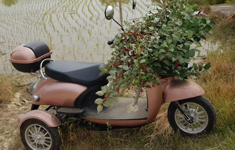 SE-faf4b5d9-49de-4142-8497-20dc9072c942.jpg?type=w773