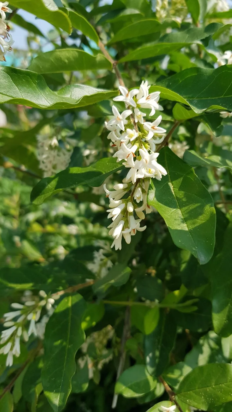 KakaoTalk_20250607_105250796.jpg?type=w773