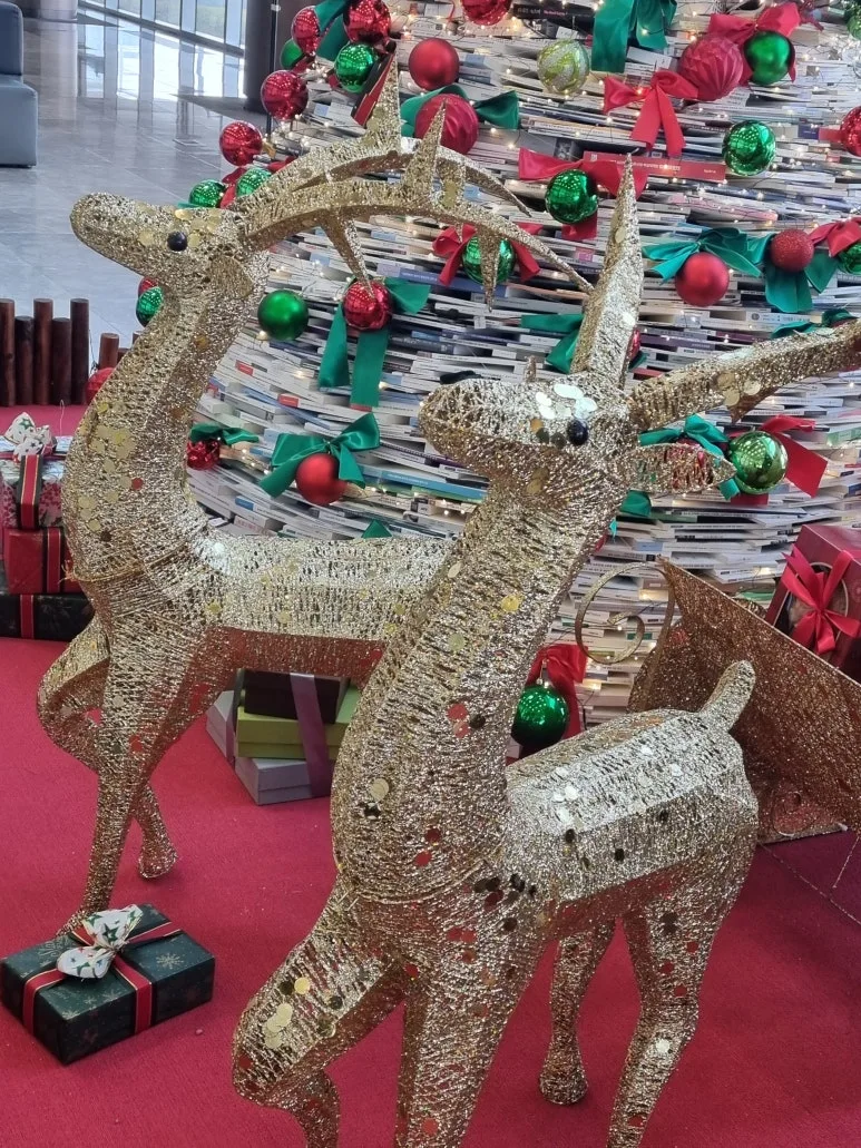 KakaoTalk_20251219_140345364.jpg?type=w773