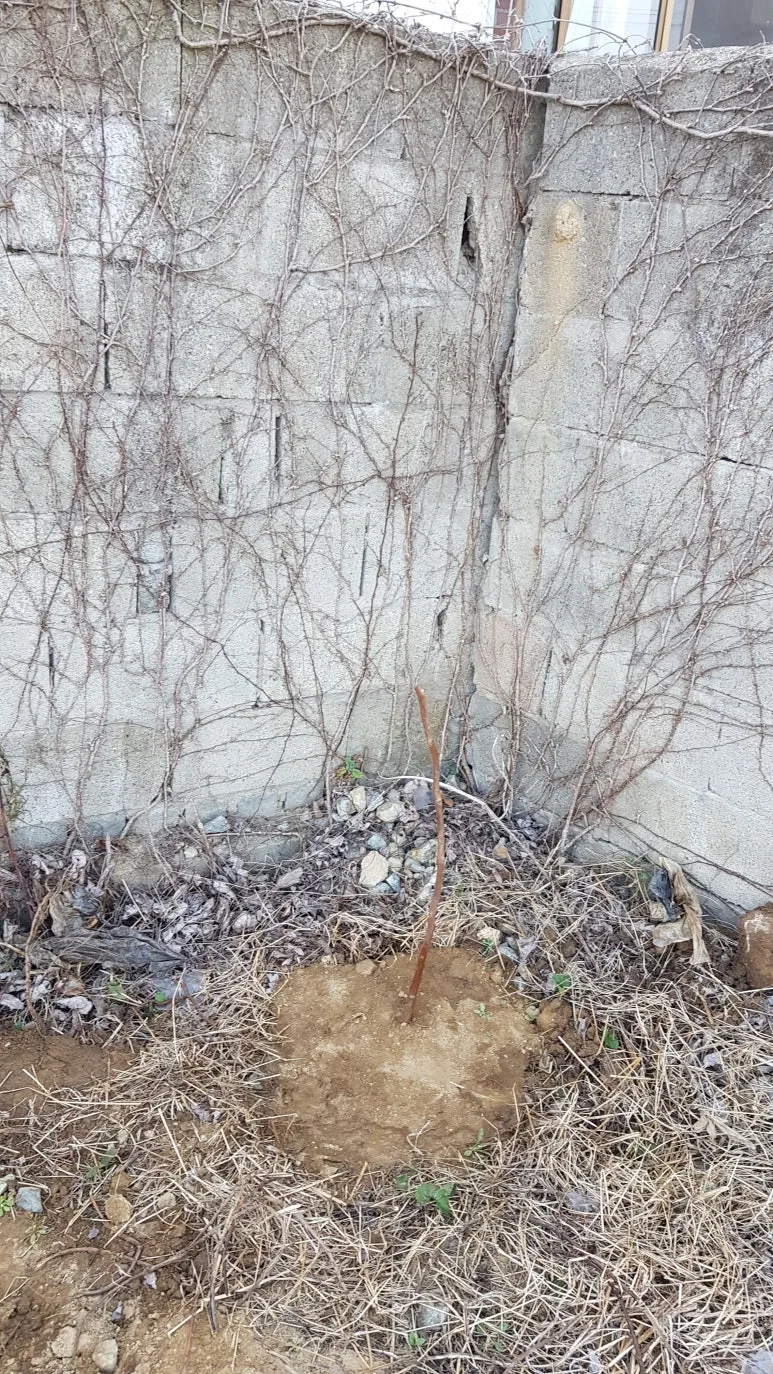 KakaoTalk_20250328_185754183.jpg?type=w773