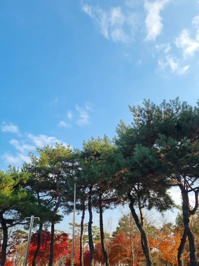 KakaoTalk_20251129_100842904.jpg?type=w773