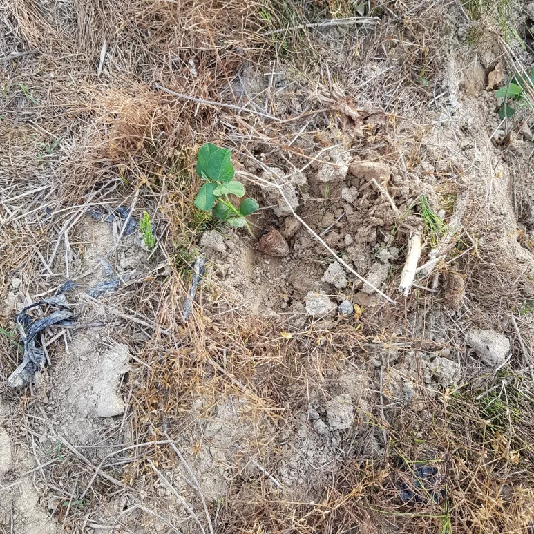 KakaoTalk_20250612_063134094.jpg?type=w773