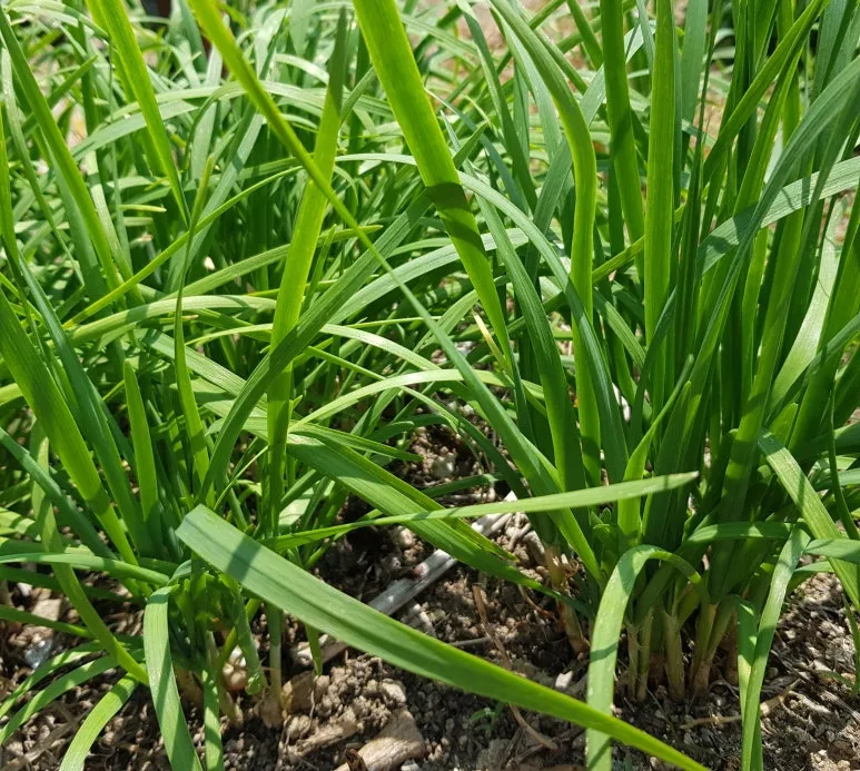 SE-80375a31-e838-44f5-a097-37d8cb014f7f.jpg?type=w773