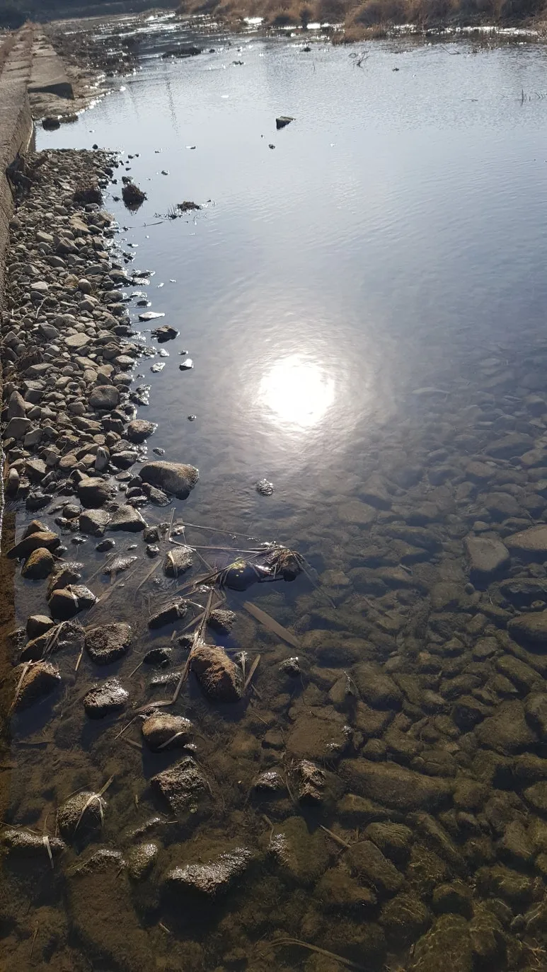 KakaoTalk_20250116_083319525.jpg?type=w773