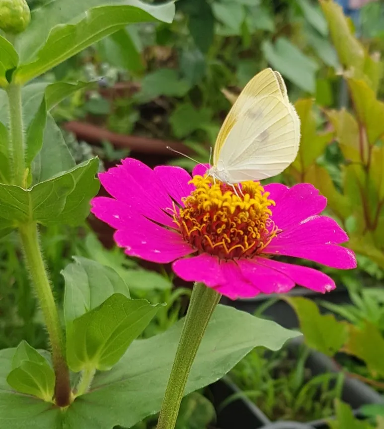 SE-8501f073-1c48-4320-982f-d289035f5a60.jpg?type=w773