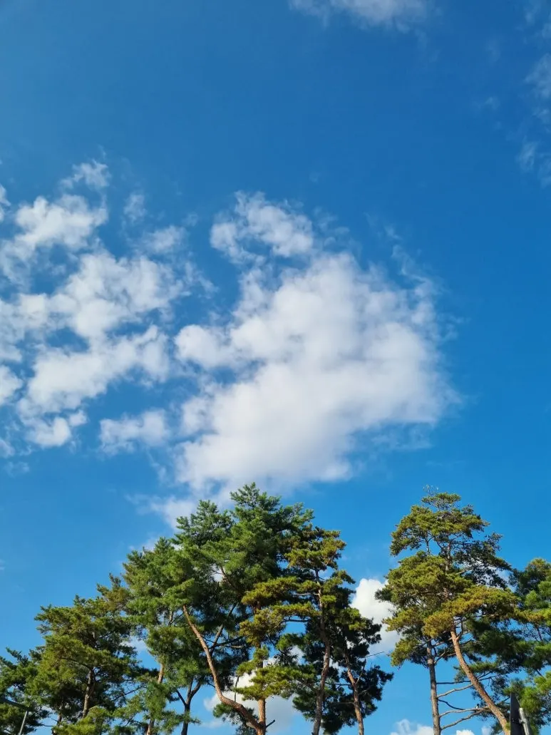 KakaoTalk_20251024_074105280.jpg?type=w773