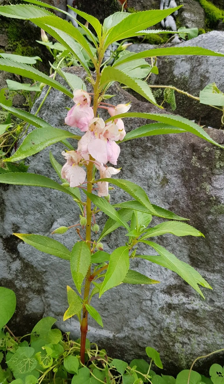 SE-dca443ff-d2ce-4712-a4ec-a8f64e15bb4a.jpg?type=w773