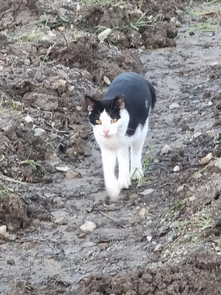 KakaoTalk_20251127_101314119.jpg?type=w773