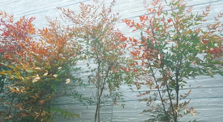 SE-bc1a4c0c-1896-49ec-9acd-11dbf051fe16.jpg?type=w773