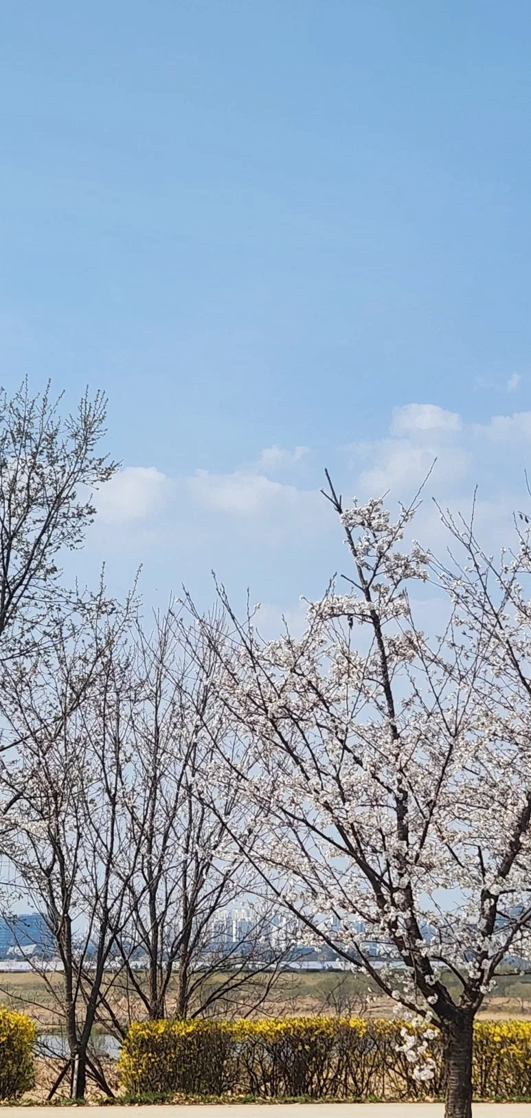 SE-3fb99035-557a-46e1-8485-b884139a8345.jpg?type=w773