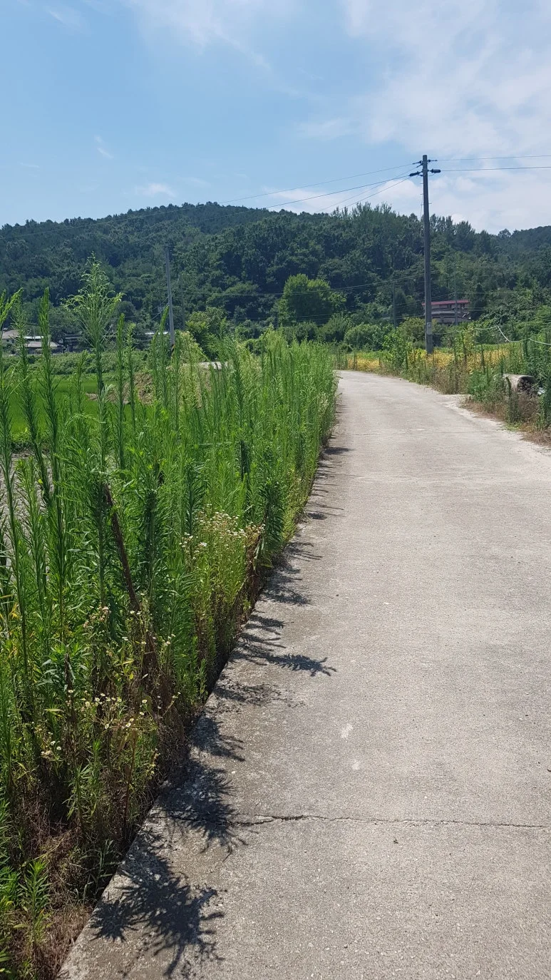 KakaoTalk_20250802_080235751.jpg?type=w773