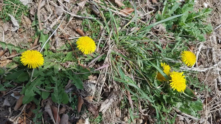 KakaoTalk_20250328_125313968.jpg?type=w773