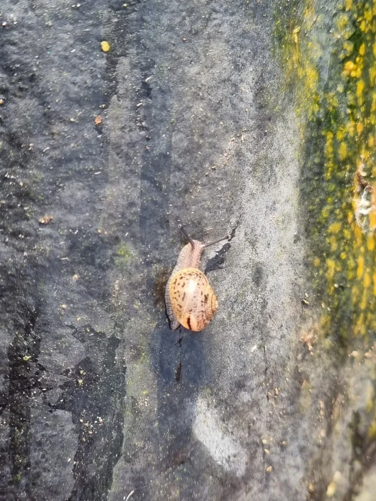 KakaoTalk_20251203_093454457.jpg?type=w773