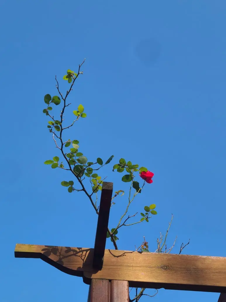 KakaoTalk_20251104_154230684.jpg?type=w773